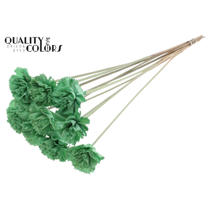 <h4>Shola Karnish Flower 6cm on stem Mint Green</h4>