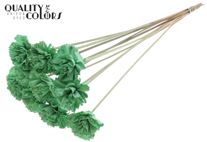 Shola Karnish Flower 6cm on stem Mint Green