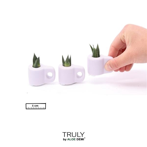 <h4>TRULY Succulent, Mug Purple Mini</h4>