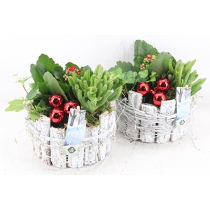 arr2 JS - Schors potje wit rond x4