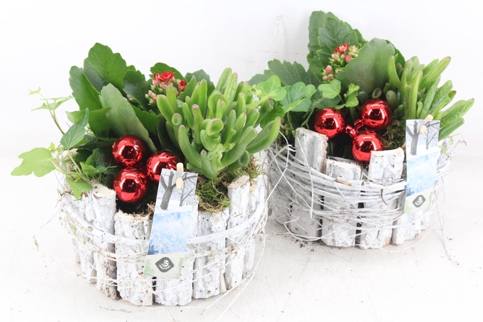 <h4>arr2 JS - Schors potje wit rond x4</h4>