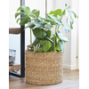 VASO JORIS NATURAL D26 A23 IMP