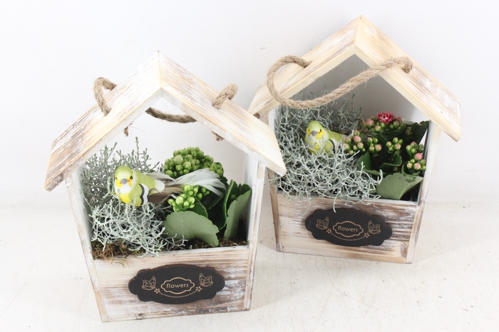 <h4>arr3 DT - Hout huis</h4>
