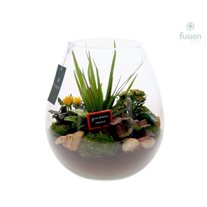 Green Bottle Abby XLarge Grootmoederdag met Arrangement