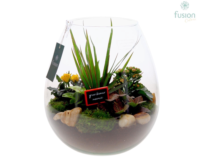 <h4>Green Bottle Abby XLarge Grootmoederdag met Arrangement</h4>