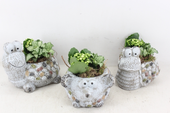 <h4>arr2 TD - Dierenmix - wit</h4>