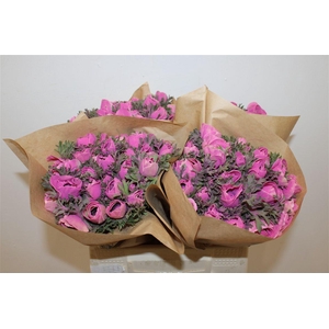 Anem Marianne Powder Fuchsia