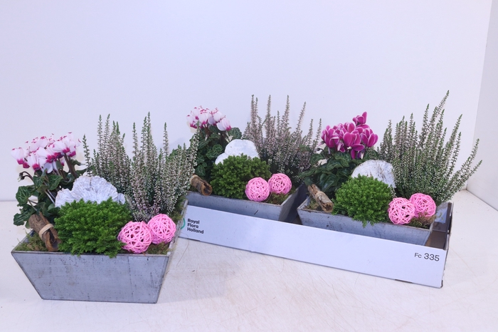 <h4>ARR TUINPLANTEN</h4>