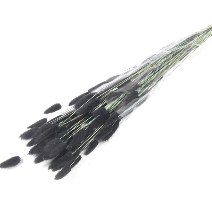 DF Lagurus Bs 50g/70cm Black