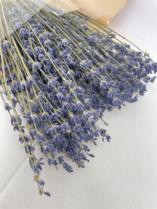 Dried Lavendel Met Hoes 100gram