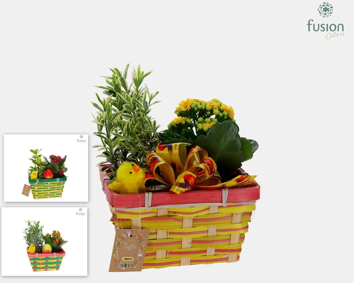 <h4>Pasen Rieten mand Met arrangement</h4>