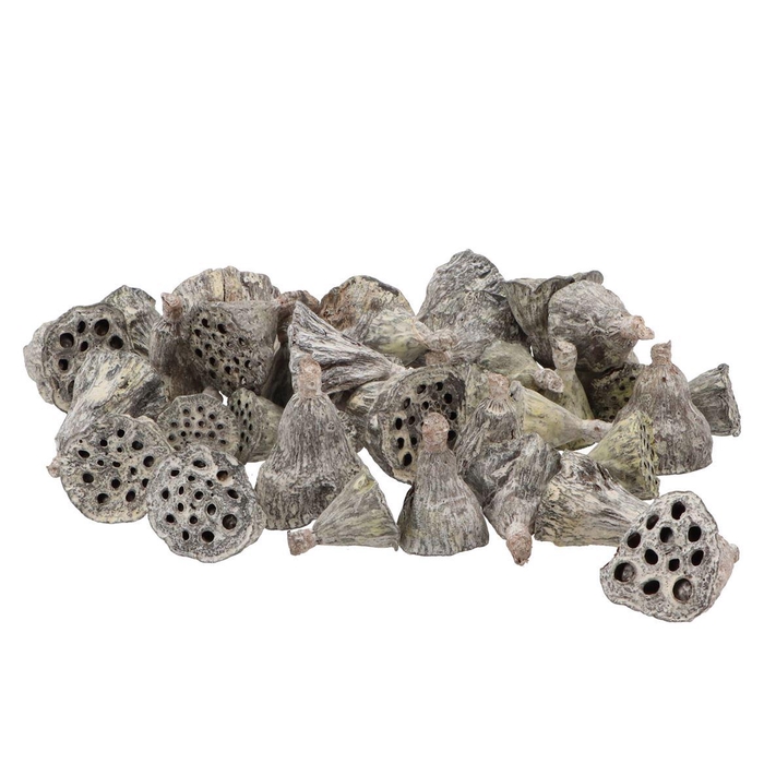 <h4>Nature Lotus Mini Whitewash P/200</h4>