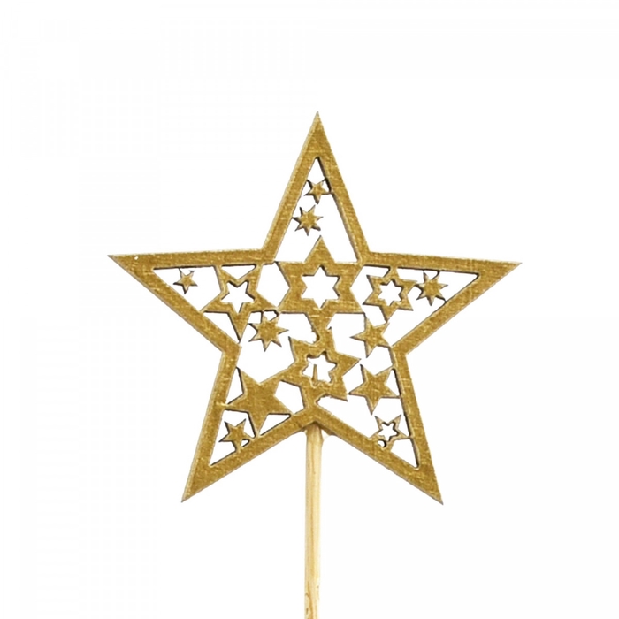 <h4>Kerst bijsteker 20cm Ster 6cm</h4>