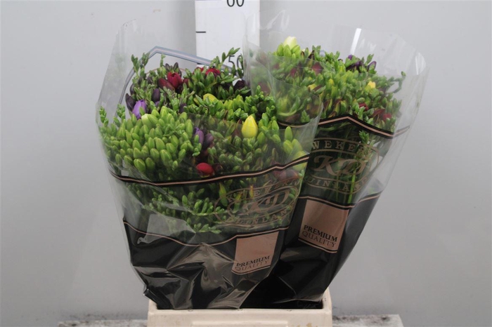 <h4>Fr Du Gemengd 21gr</h4>