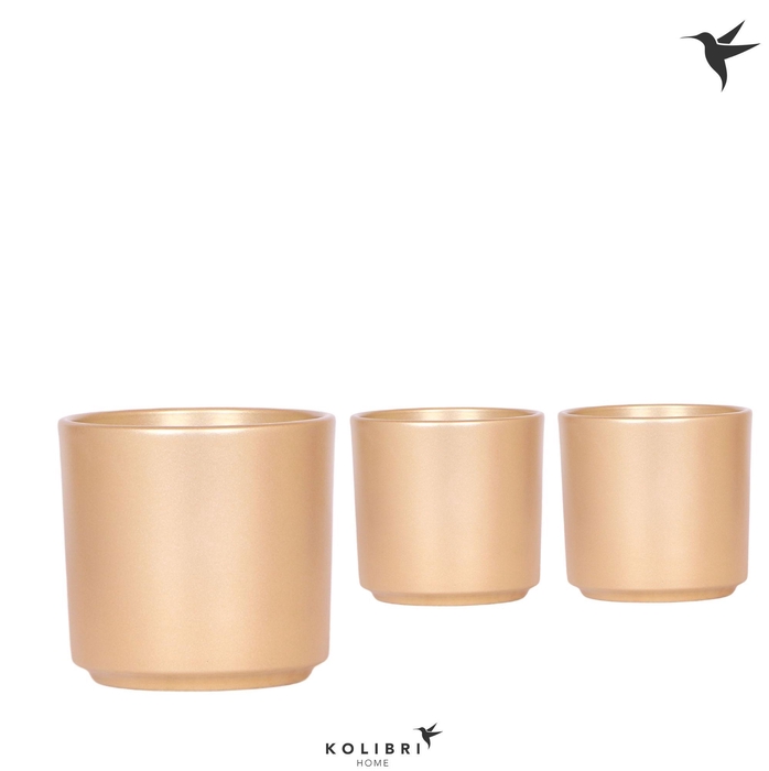 <h4>Kolibri Home Simplicity pot gold</h4>