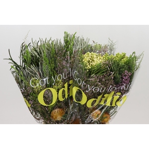 BQ Cape Greenmix