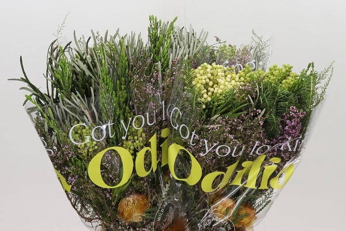 <h4>BQ Cape Greenmix</h4>