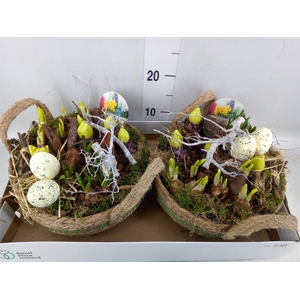 Arr.   Bol/Knolgewas L%