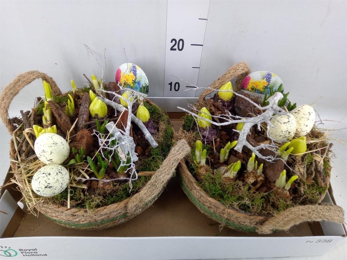 <h4>Arr.   Bol/Knolgewas L%</h4>