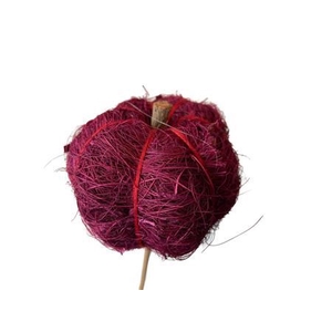 Stem Pumpkin L50w7h6d7 Red