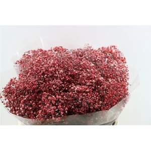 Gyps Grof Wine Red Glitter