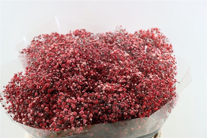 <h4>Gyps Grof Wine Red Glitter</h4>