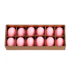 Egg Chicken H6D4 12pcs