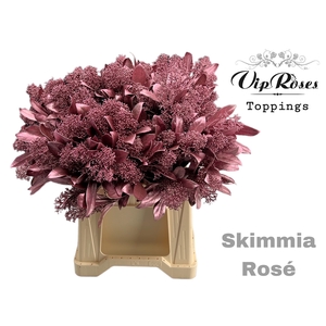 SKIMMIA METALLIC ROSÉ