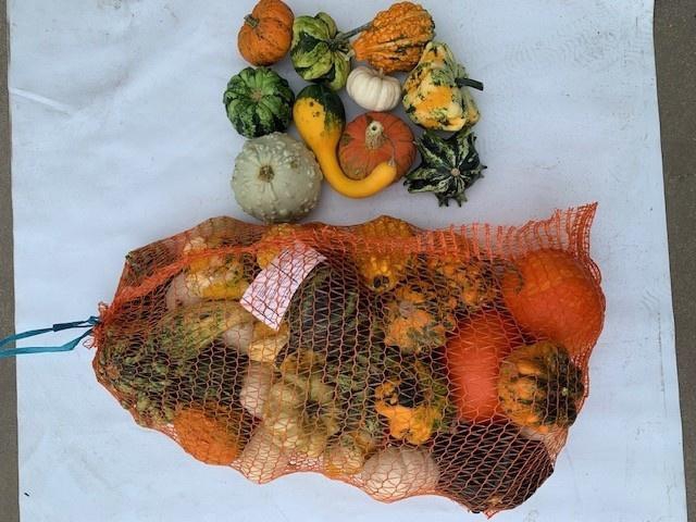 <h4>CUC PEPO MIX</h4>
