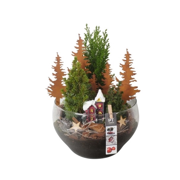 <h4>PTCWW2718 Arrangement Winter in glas schaal</h4>