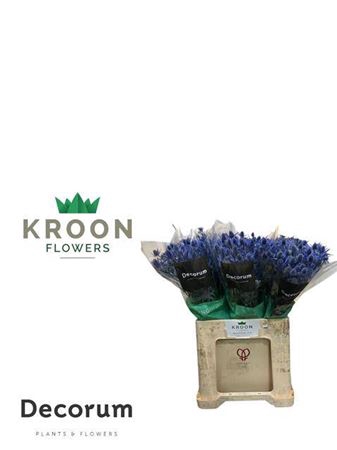 <h4>Eryn Mag Blue Lagoon 65cm</h4>