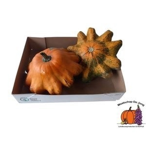 <h4>CUCURBITA FL SAUCER</h4>