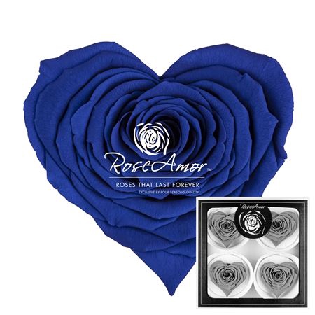 Corazon Bella Blu03