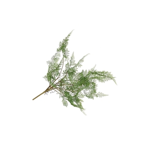 Silk Fern Forest Plant Green 77cm Nm