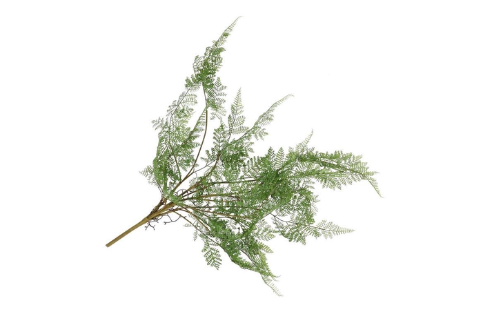 <h4>Silk Fern Forest Plant Green 77cm</h4>