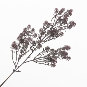 Sedum Spray Burgundy LV330172BUR