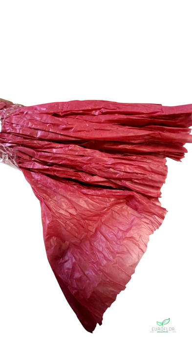 NON WOVEN SHEETS 50CMX1,5M BORDEAUX 5PCS