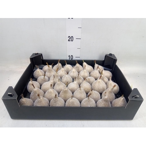 Decoratieve materialen   ...H%