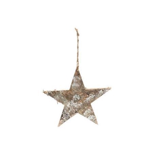 Hanger Snow Star L25w25h1