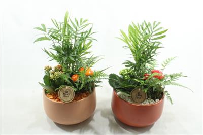 <h4>9318 KER ORANJE INDOOR</h4>