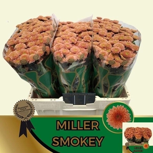 CHR SAN MILLER SMOKEY
