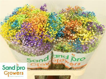 <h4>Gyps Klb H%</h4>