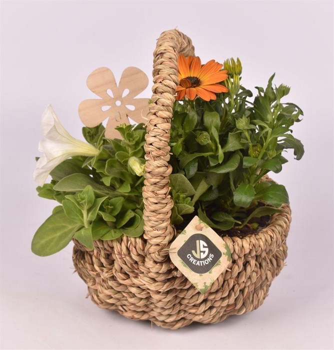 <h4>Wilg touwmand ovaal 20x15cm</h4>