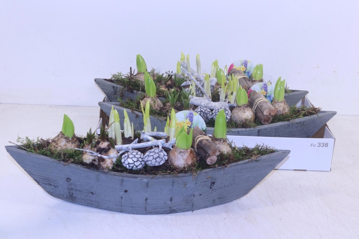 <h4>ARR BOL KNOLGEWAS</h4>