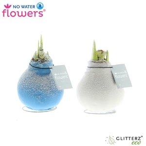 No Water Flowers® Frozen mix
