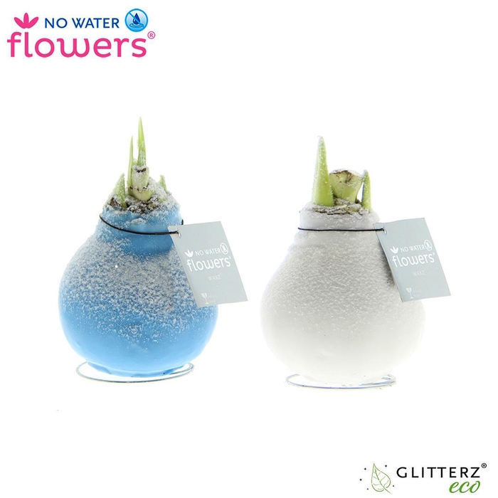 <h4>No Water Flowers® Frozen mix</h4>