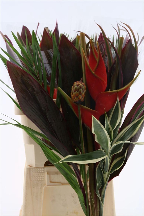 <h4>Bouquet Petit</h4>