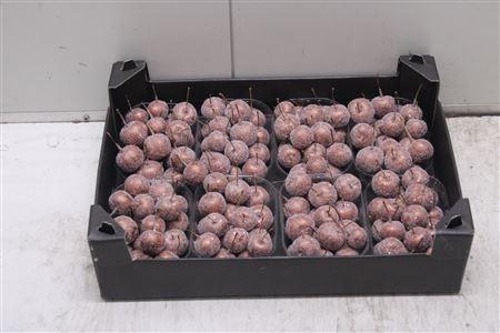 <h4>F-malusappel Glitter Koper</h4>