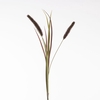 AF Pennisetum x2 L88cm Red