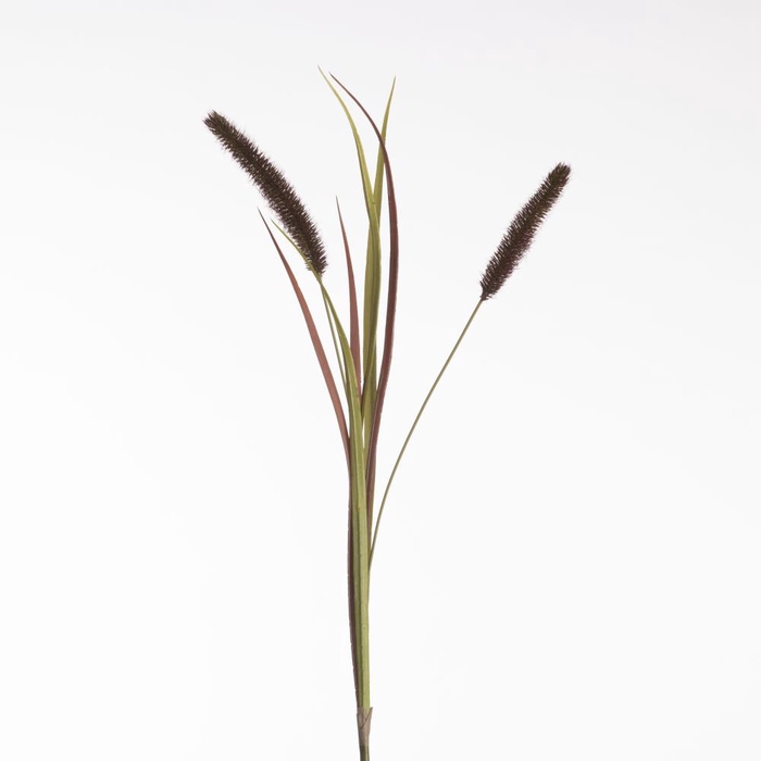 AF Pennisetum x2 L88cm Red
